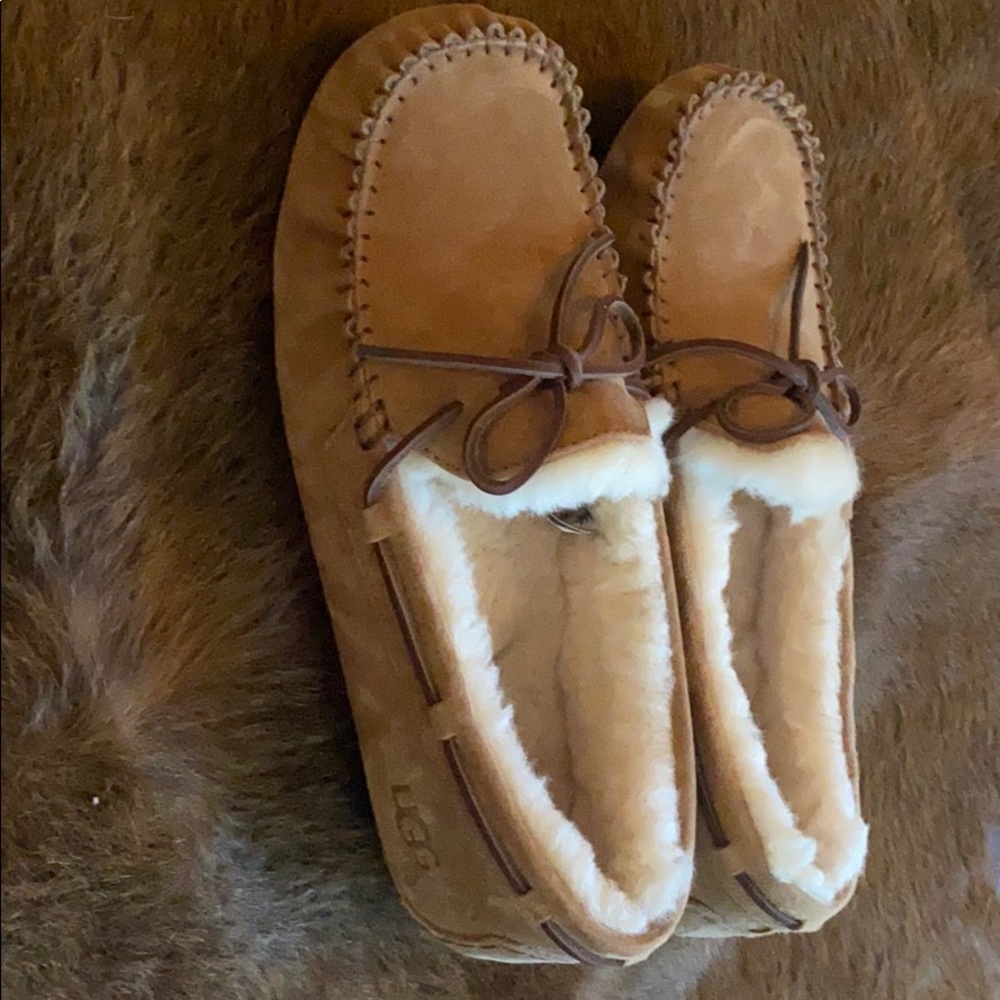 UGG Slipper